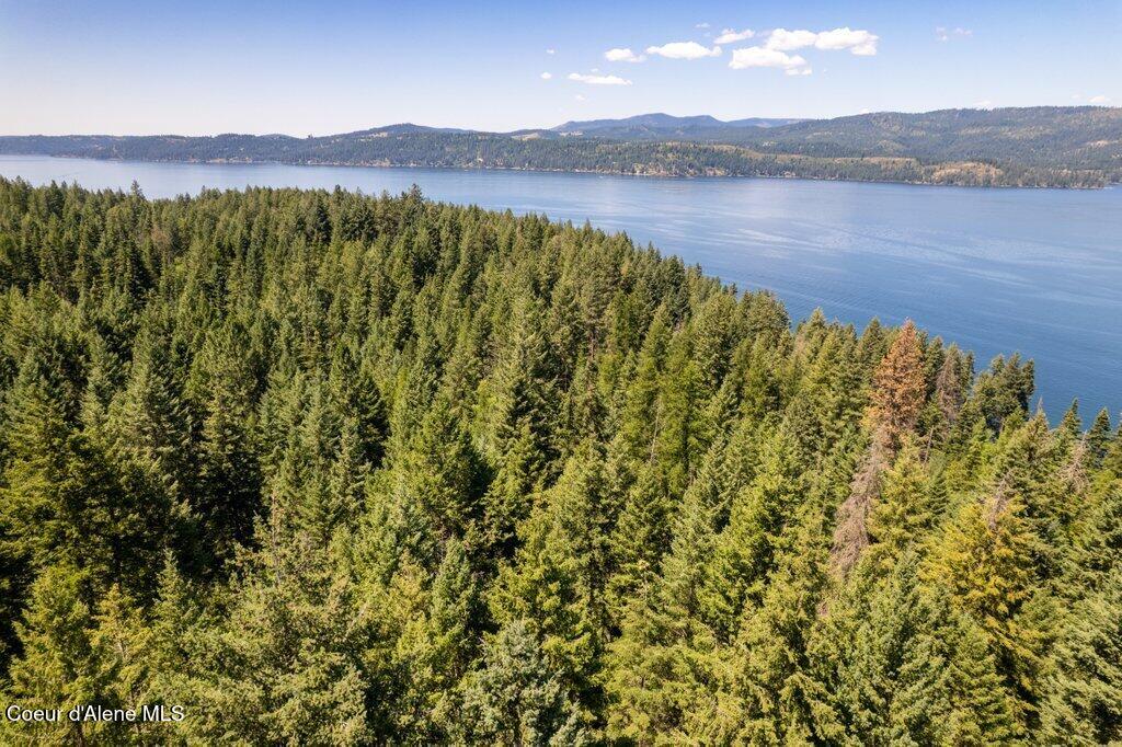 97 Highway 97 Harrison, ID 83833 - Photo 11 of 23 Aerial