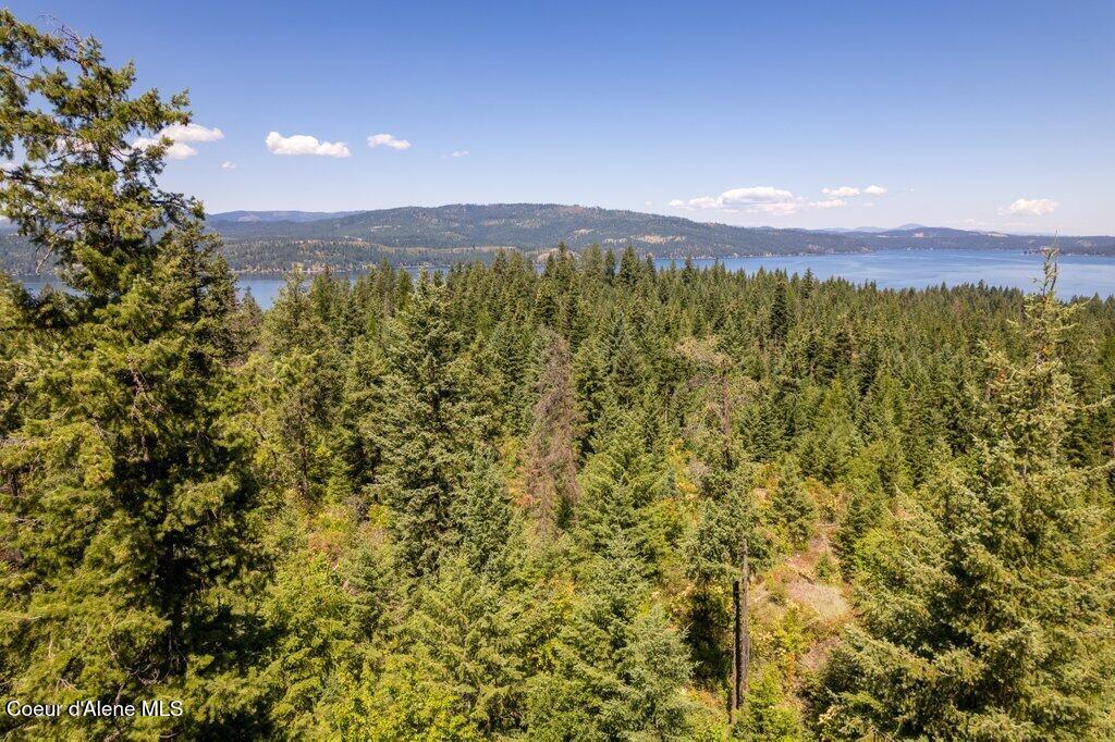 97 Highway 97 Harrison, ID 83833 - Photo 13 of 23 Aerial