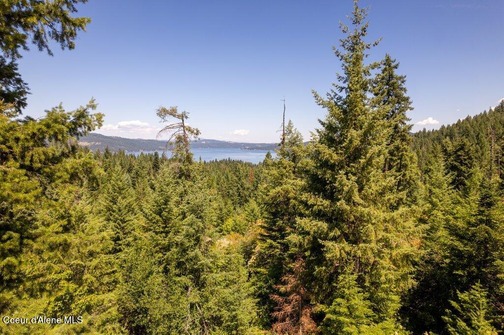 97 Highway 97 Harrison, ID 83833 - Photo 14 of 23 Build Site w Views