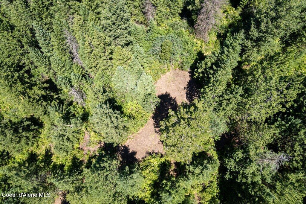 97 Highway 97 Harrison, ID 83833 - Photo 15 of 23 East section of property w roughed in ro