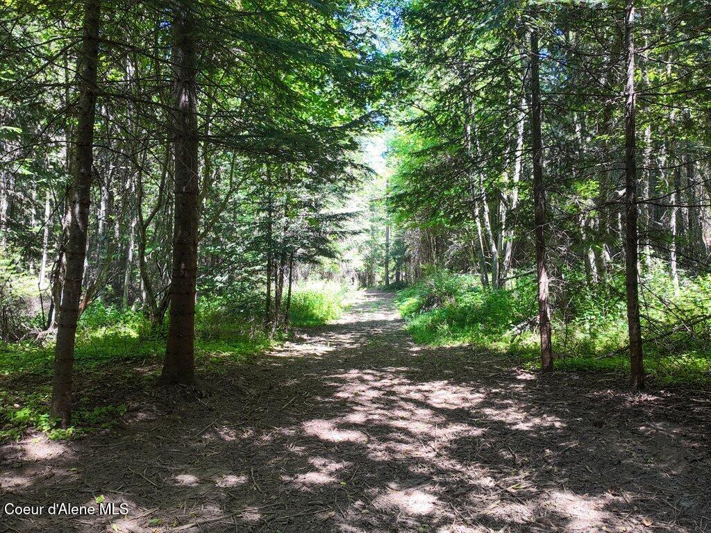 97 Highway 97 Harrison, ID 83833 - Photo 18 of 23 Road