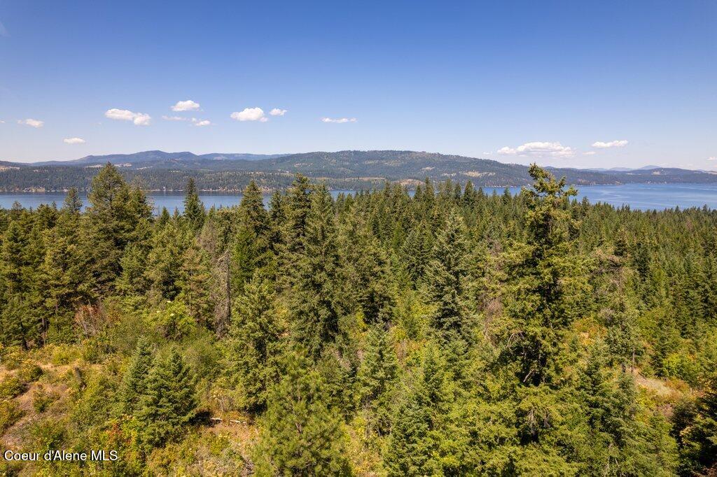 97 Highway 97 Harrison, ID 83833 - Photo 20 of 23 Tree Line Lake View