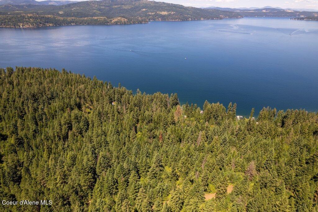 97 Highway 97 Harrison, ID 83833 - Photo 21 of 23 Tree Line Lake Views 3