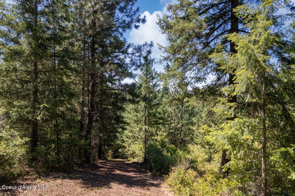 97 Highway 97 Harrison, ID 83833 - Photo 5 of 23 Road