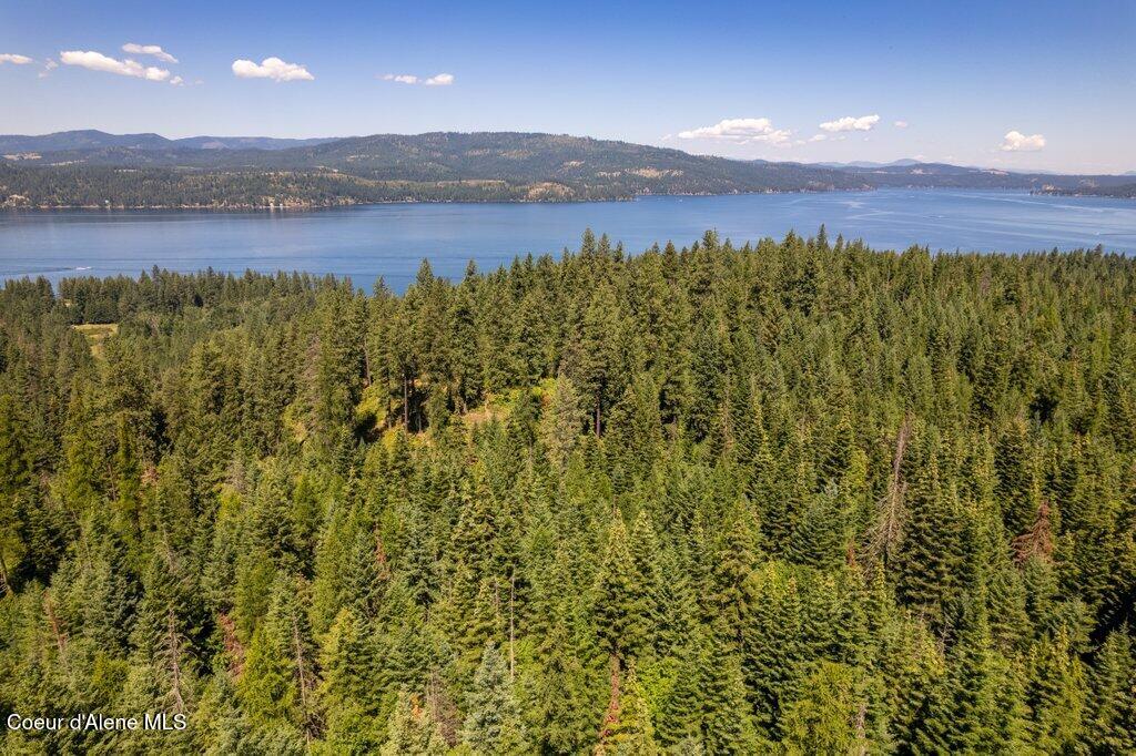 97 Highway 97 Harrison, ID 83833 - Photo 6 of 23 Tree Line Lake View