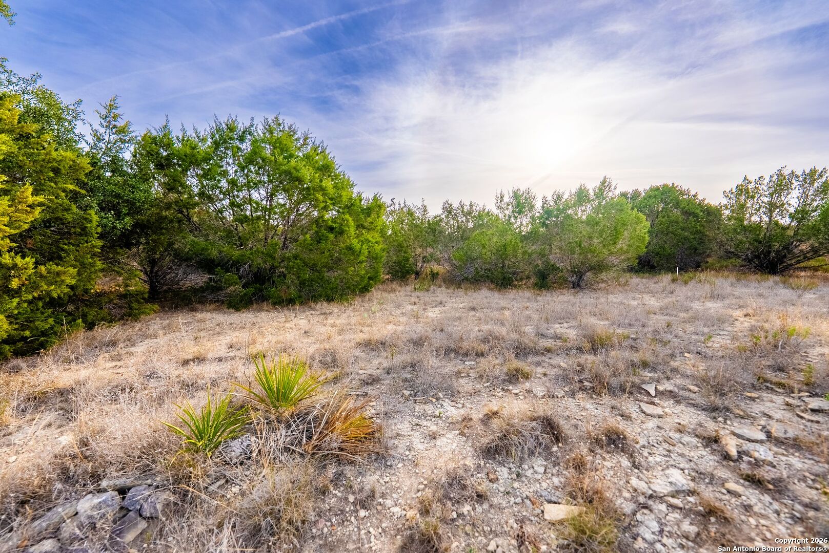 268 Secret Way Spring Branch, TX 78070 - Photo 18 of 19