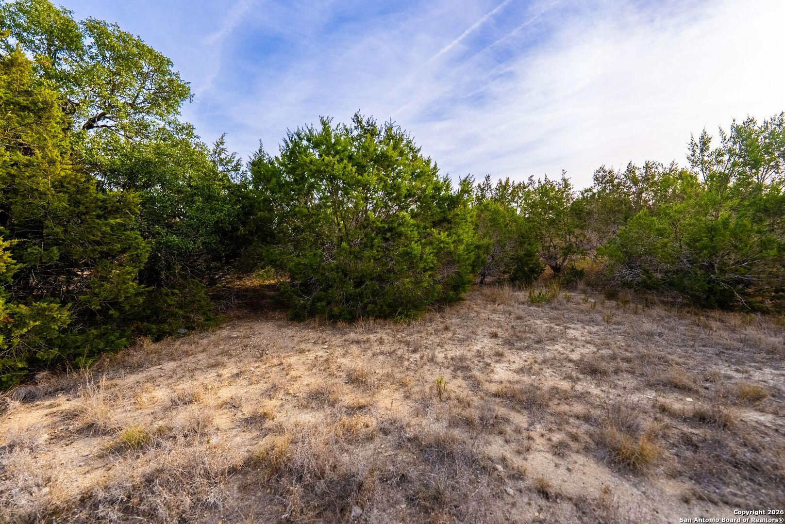 268 Secret Way Spring Branch, TX 78070 - Photo 19 of 19