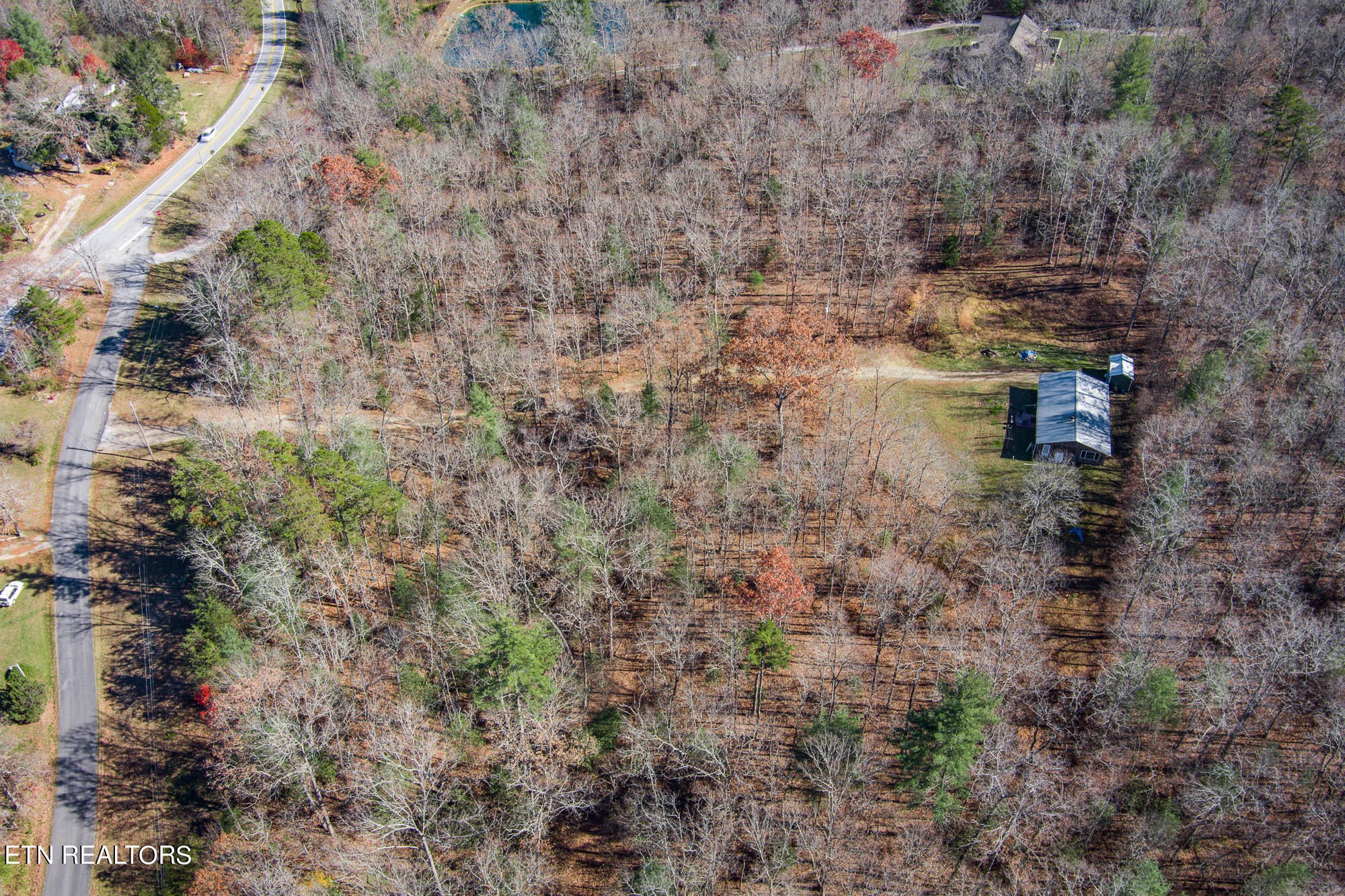 109 Nelson Road Lancing, TN 37770 - Photo 2 of 30