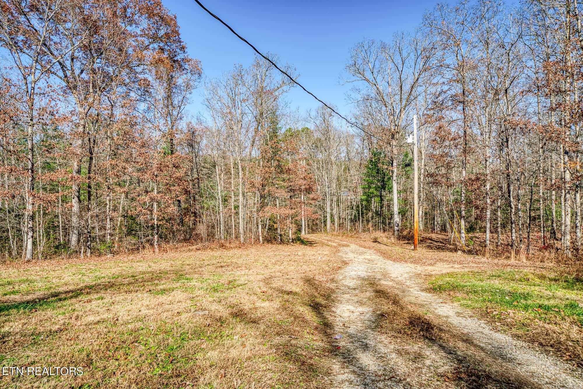 109 Nelson Road Lancing, TN 37770 - Photo 25 of 30 a backyard of a house with lots of green space
