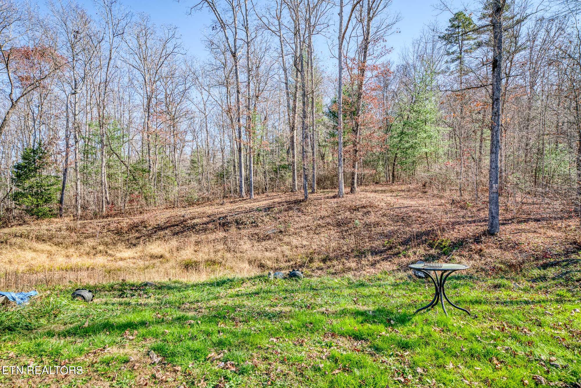 109 Nelson Road Lancing, TN 37770 - Photo 26 of 30 a view of a yard with large trees