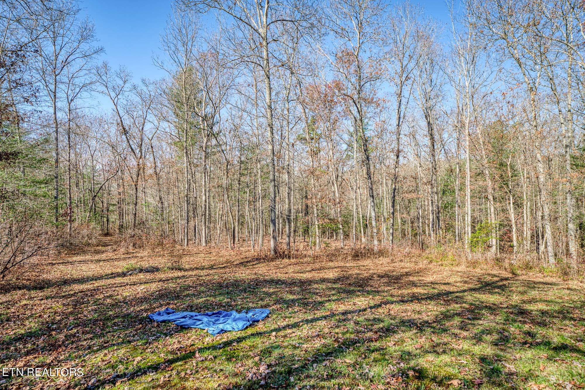 109 Nelson Road Lancing, TN 37770 - Photo 27 of 30 a view of outdoor space with trees