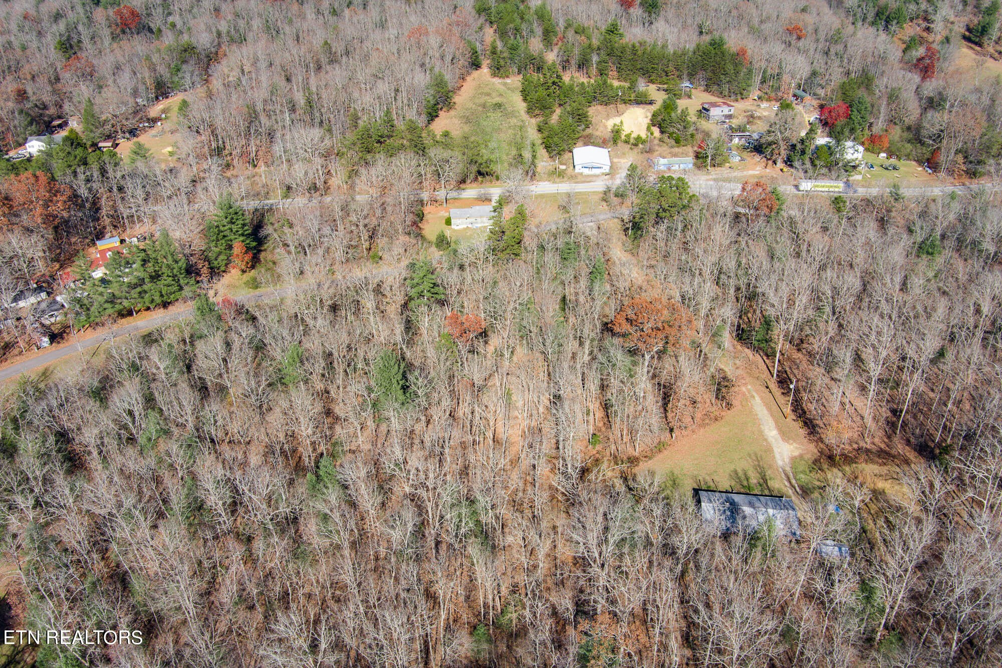 109 Nelson Road Lancing, TN 37770 - Photo 28 of 30 a view of a yard