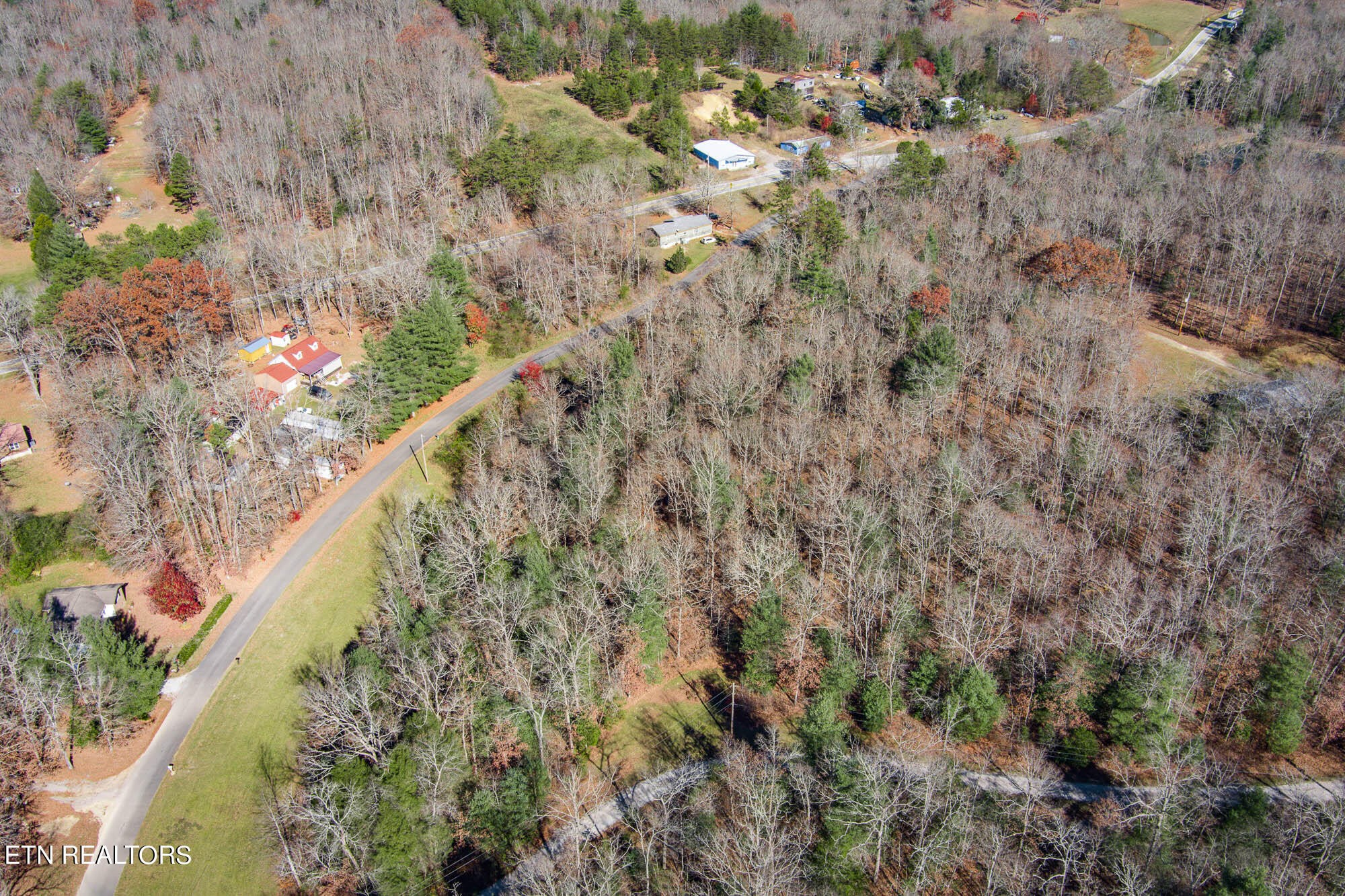 109 Nelson Road Lancing, TN 37770 - Photo 29 of 30 a view of a city with lush green forest