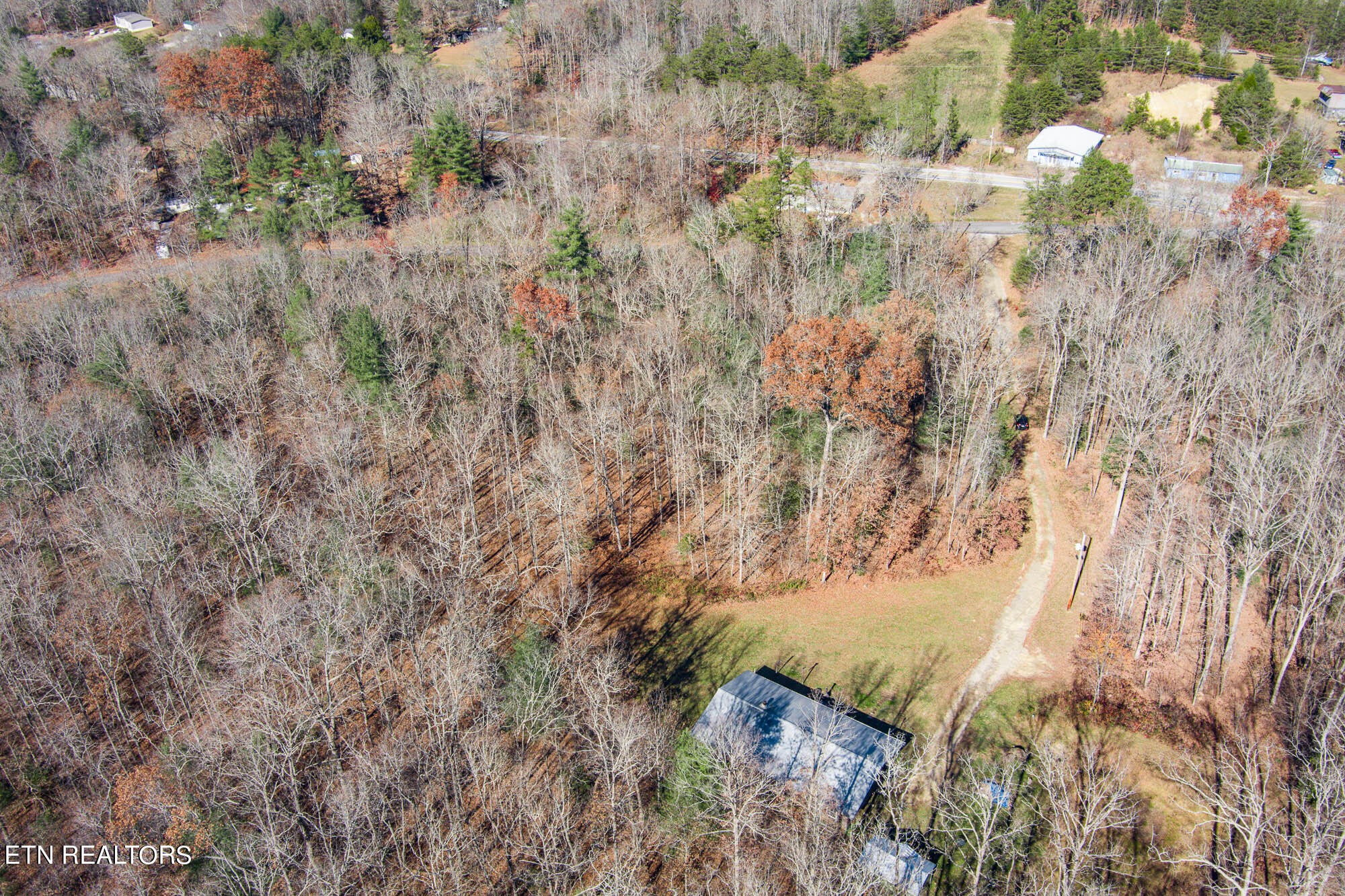 109 Nelson Road Lancing, TN 37770 - Photo 6 of 30