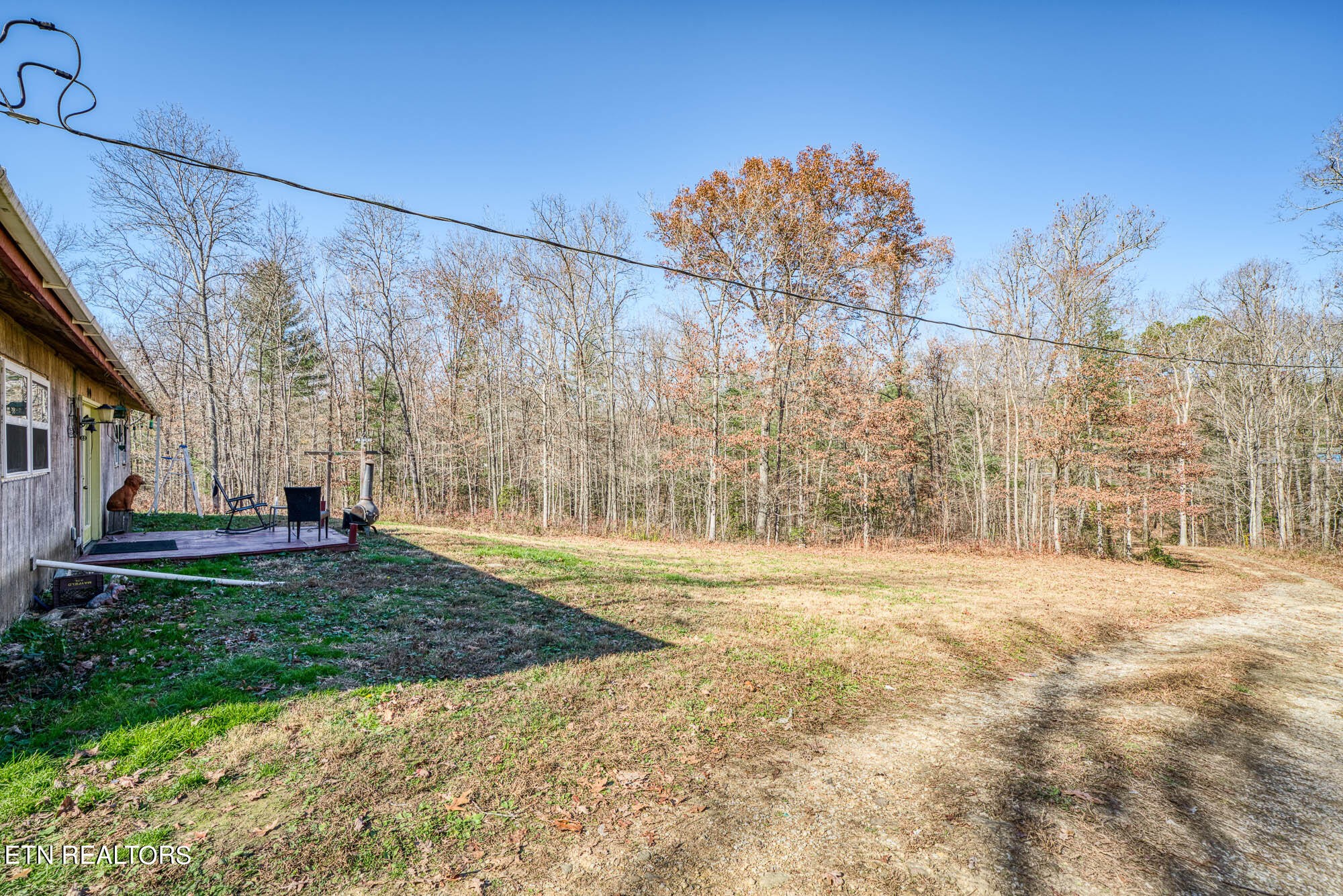 109 Nelson Road Lancing, TN 37770 - Photo 8 of 30 a view of a yard with a house