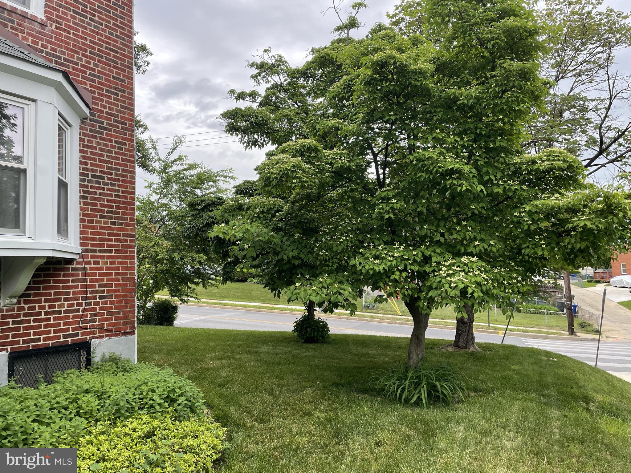 1650 Hartsdale Road Baltimore, MD 21239 - Photo 2 of 33 lawn