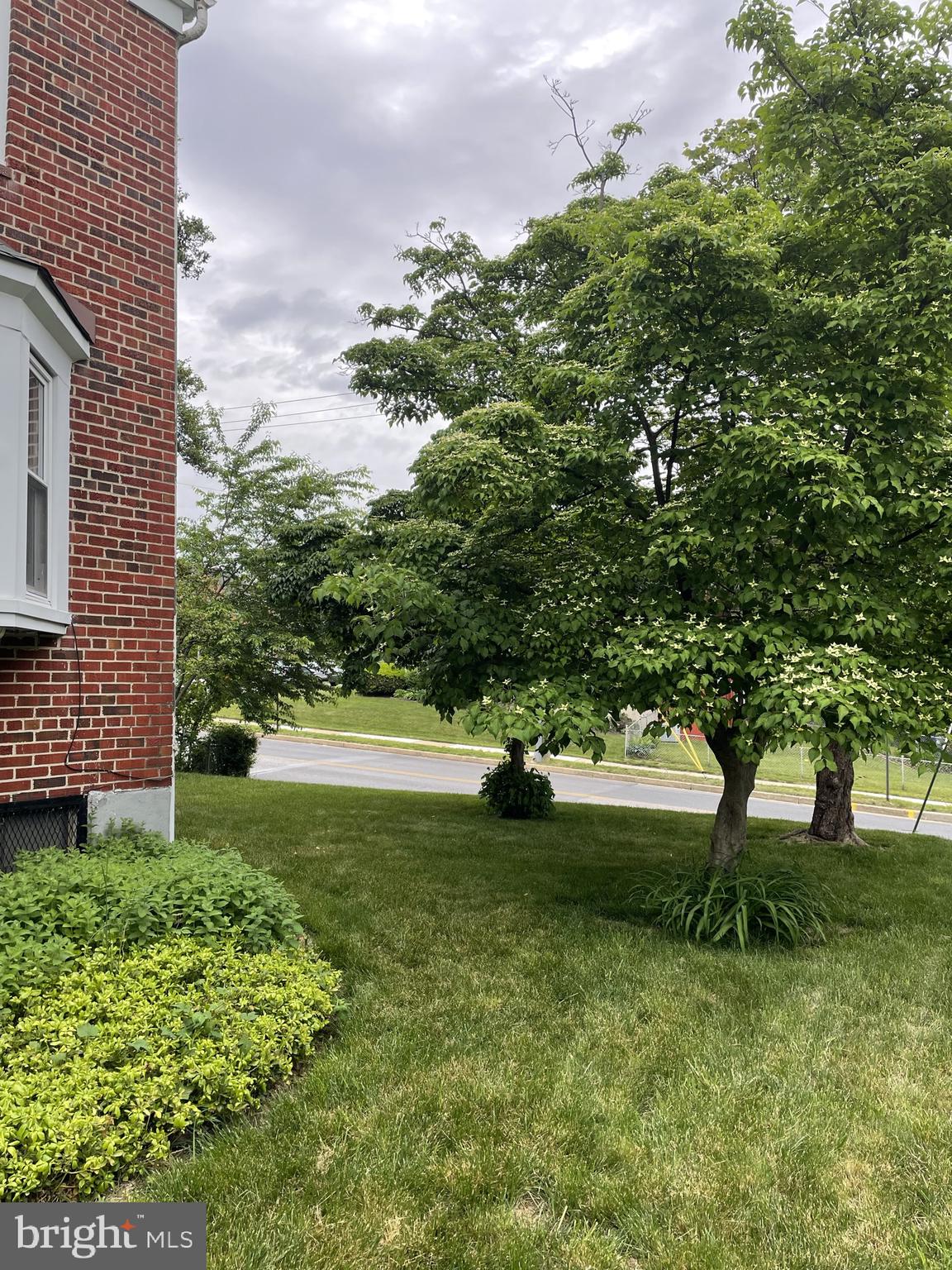 1650 Hartsdale Road Baltimore, MD 21239 - Photo 3 of 33 lawn
