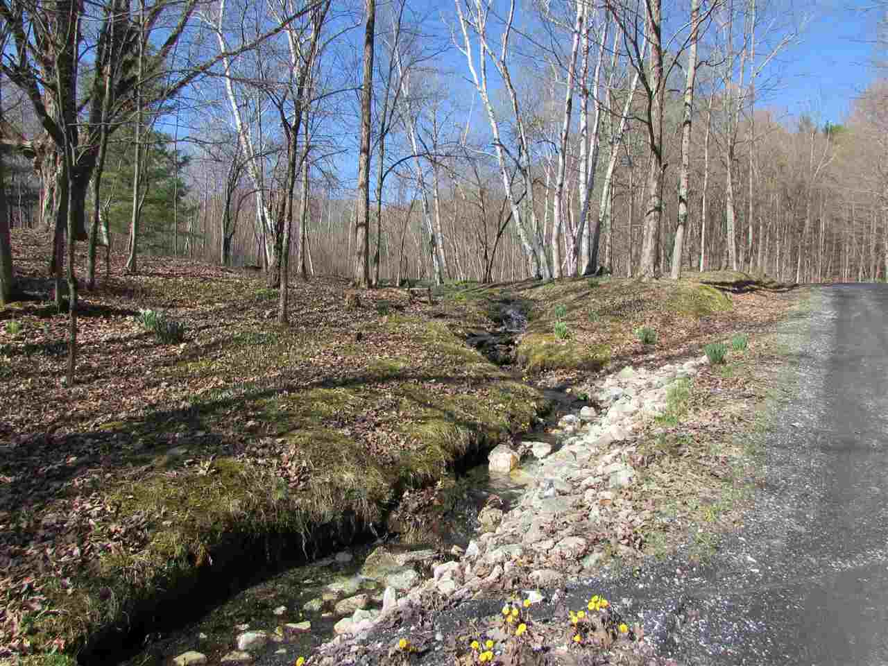 1795 Fiddle Hill Road Sudbury, VT 05733 - Photo 2 of 31 Gallery Image 2