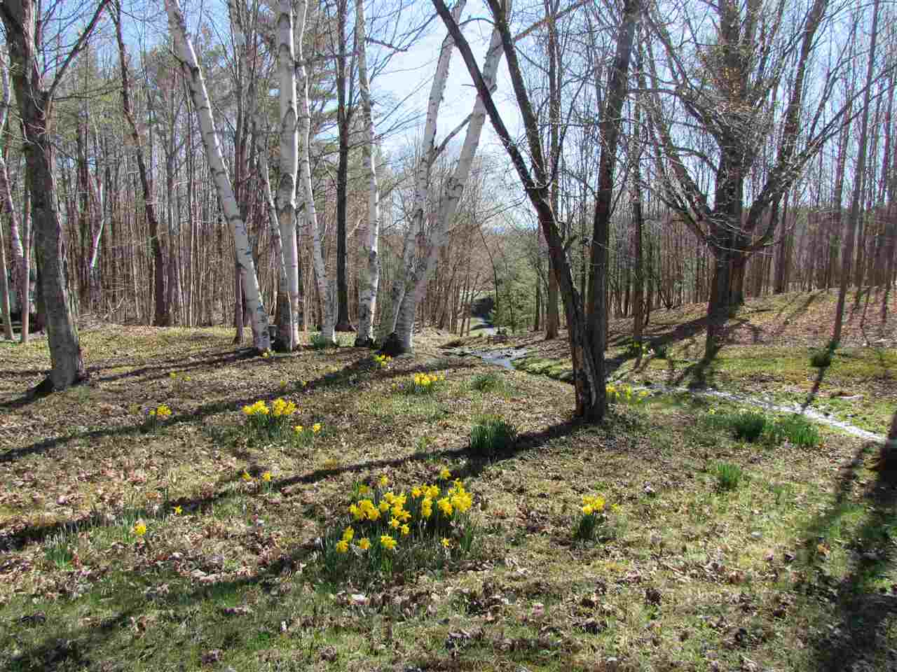 1795 Fiddle Hill Road Sudbury, VT 05733 - Photo 3 of 31 Gallery Image 3