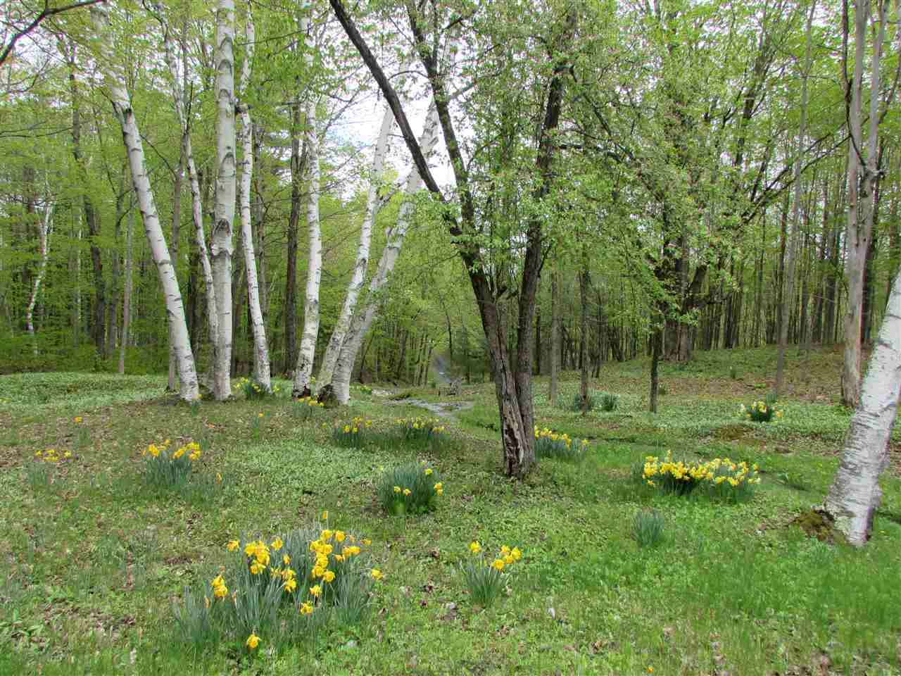 1795 Fiddle Hill Road Sudbury, VT 05733 - Photo 6 of 31 Gallery Image 6