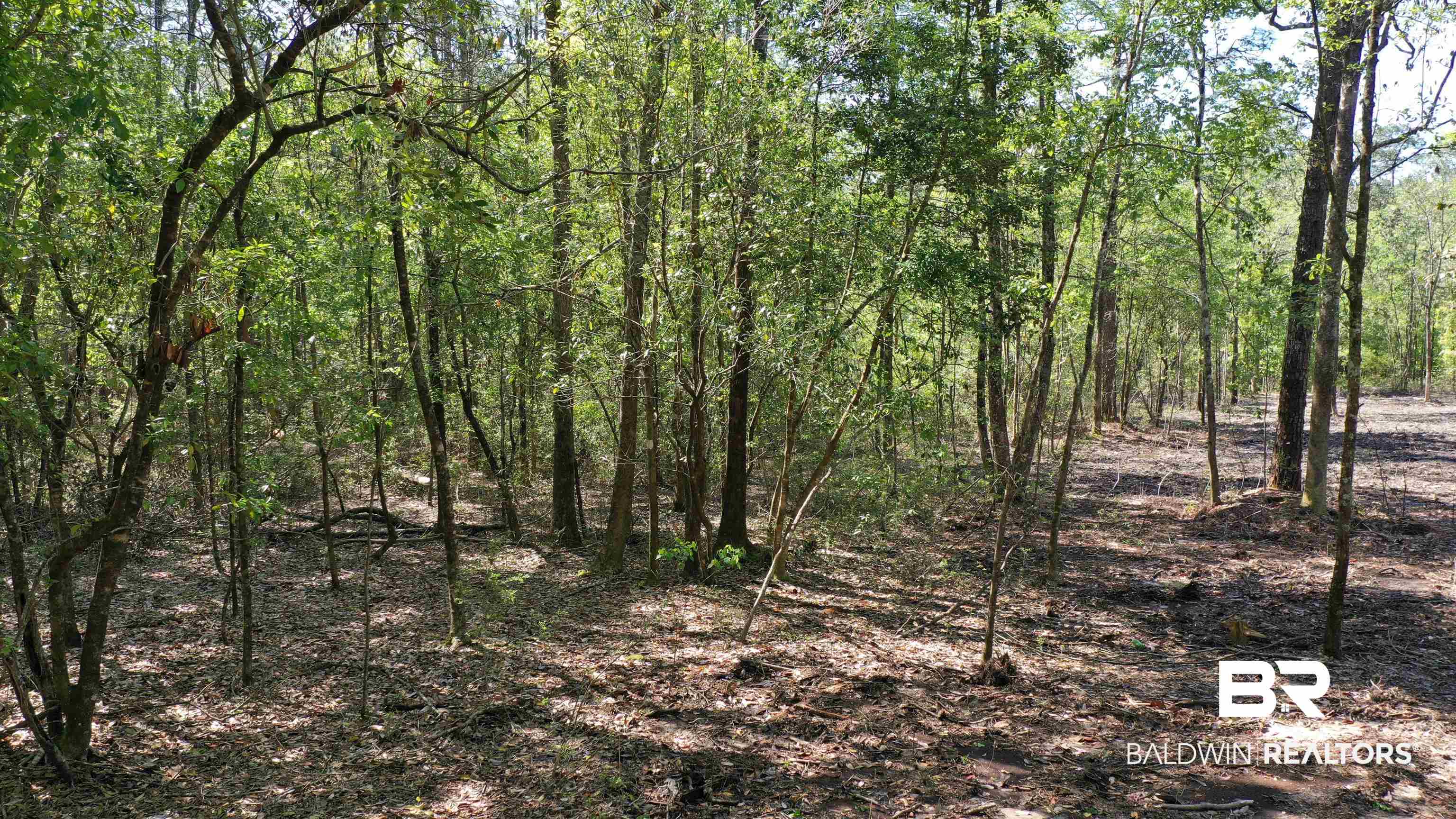 3 Brookwood Road Atmore, AL 36502 - Photo 6 of 15