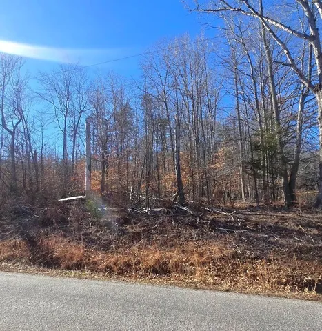a view of a backyard of the house