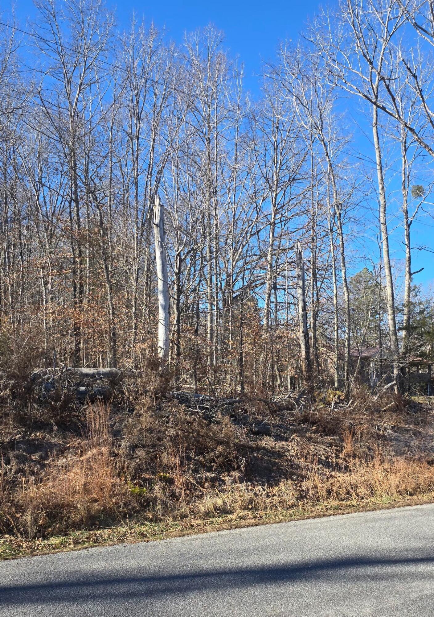 0 Jordan Creek Road Martinsville, VA 24112 - Photo 3 of 7 a view of a yard with large trees