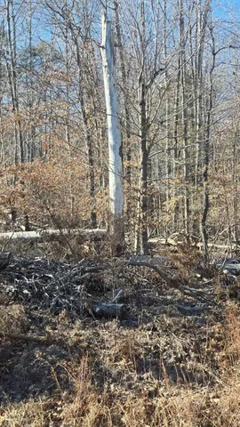 a view of a backyard of the house