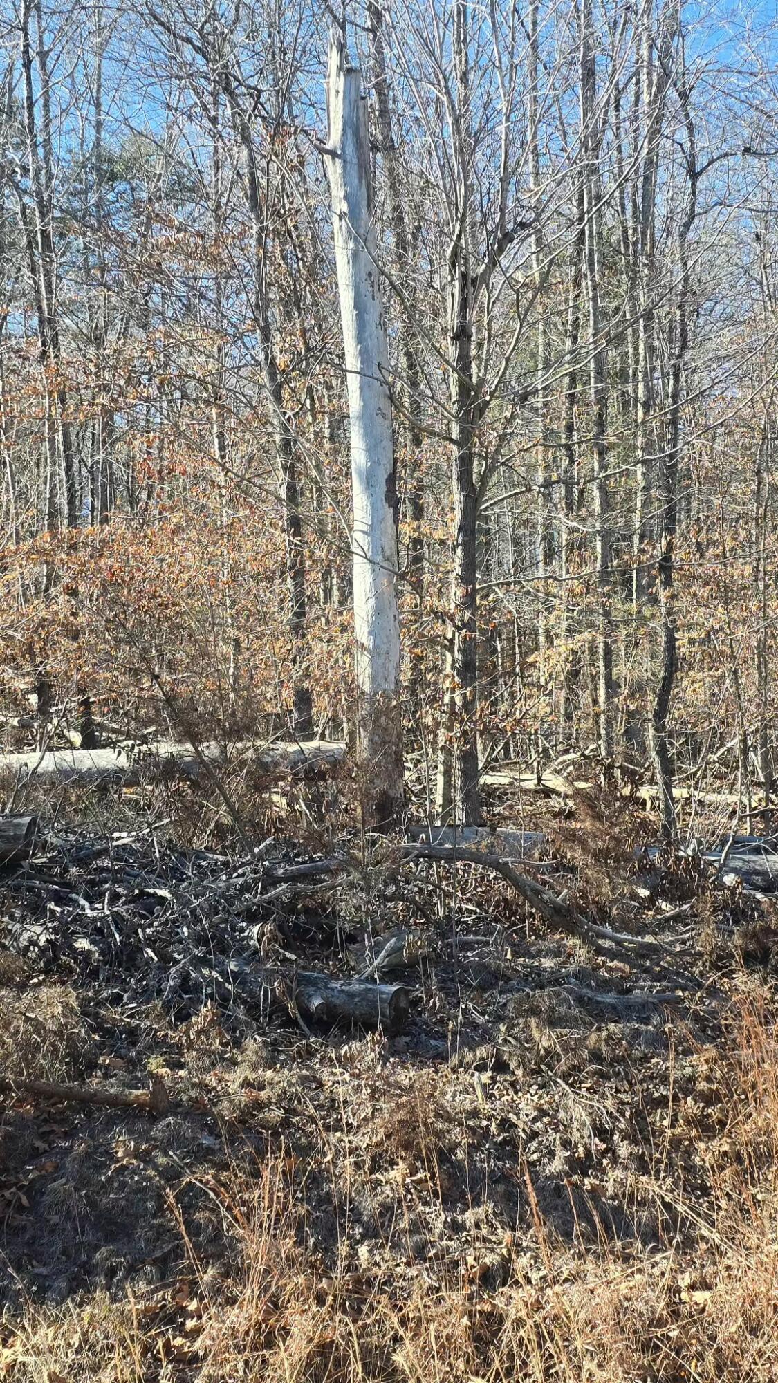 0 Jordan Creek Road Martinsville, VA 24112 - Photo 5 of 7
