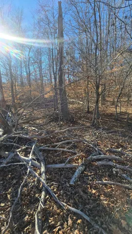 a view of a wall painting