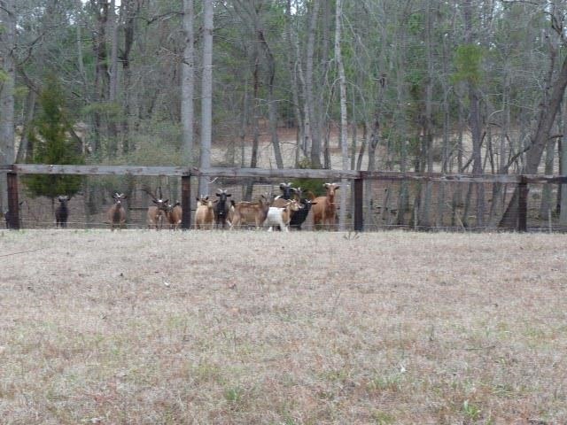 3342 Reservation Road Aberdeen, NC 28315 - Photo 8 of 9 Additional Photo