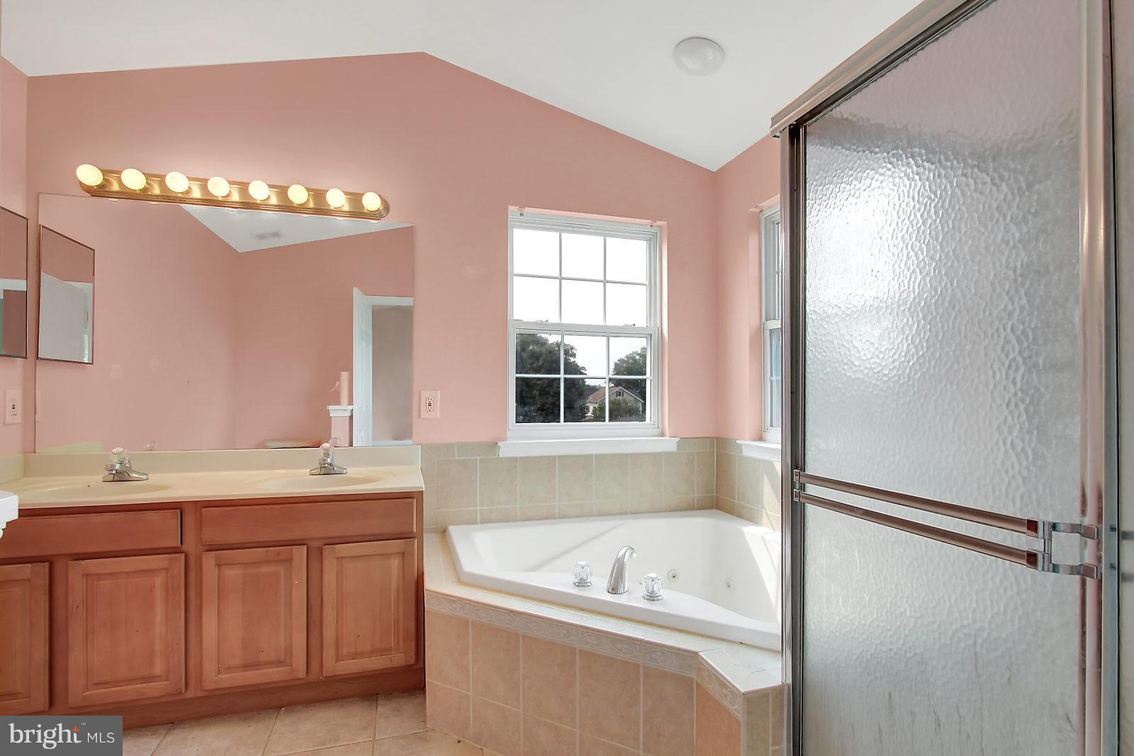 532 Grovethorn Road Baltimore, MD 21220 - Photo 21 of 30 a bathroom with a tub a sink and a mirror