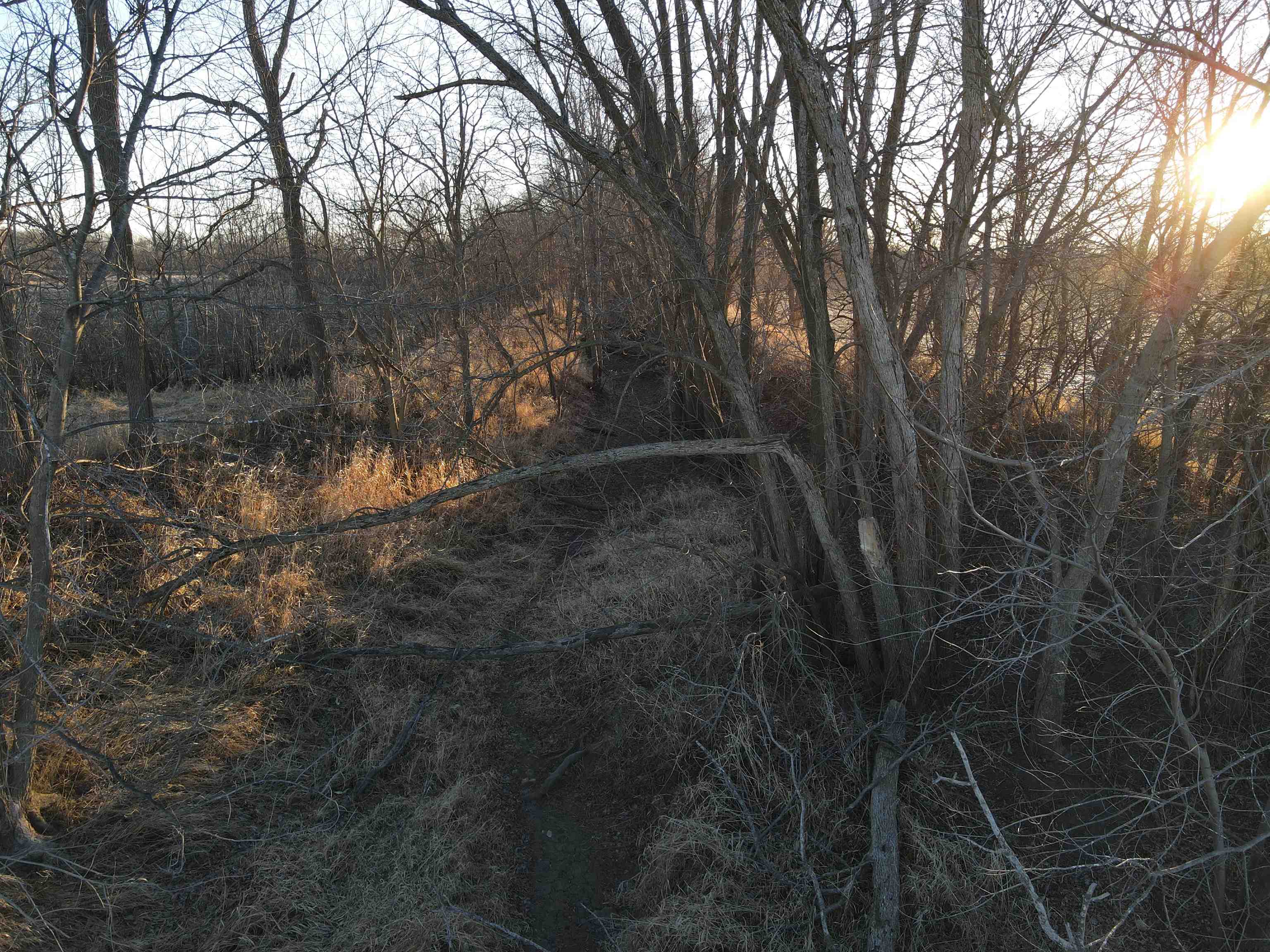 0 North Fawver Road Freeport, IL 61067 - Photo 40 of 80 a view of forest