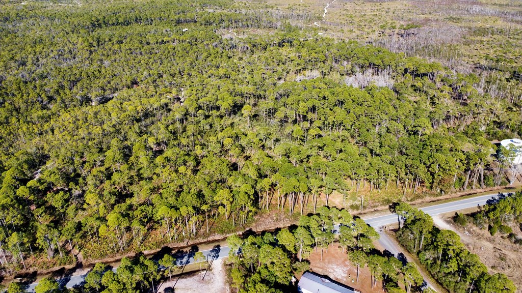 253 Twin Lakes Road Eastpoint, FL 32328 - Photo 13 of 16 Gallery Image 13