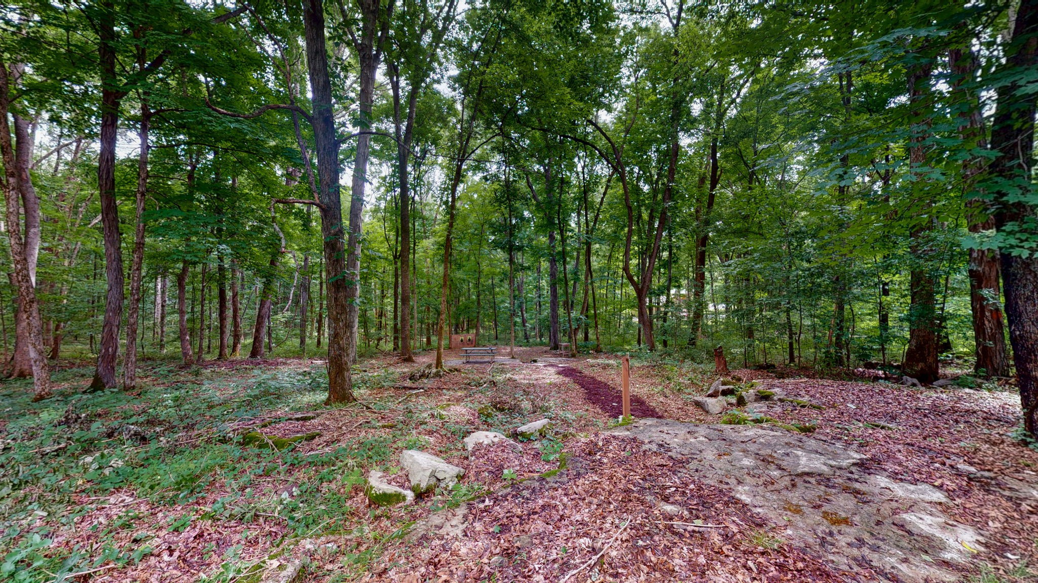3398 Poplar Hill Road Watertown, TN 37184 - Photo 44 of 62