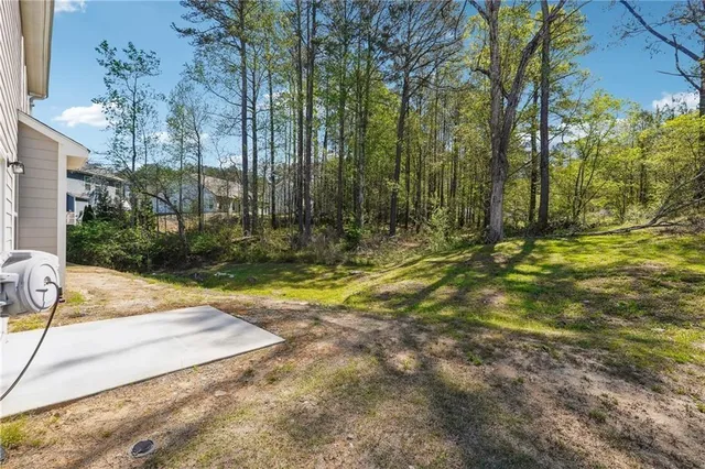 a view of a yard with palm trees