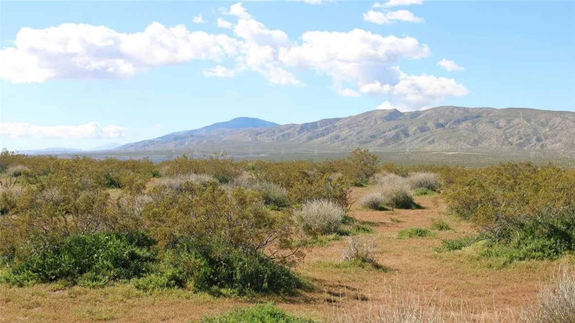 0 Collins Street Mojave, CA 93501 - Photo 6 of 6