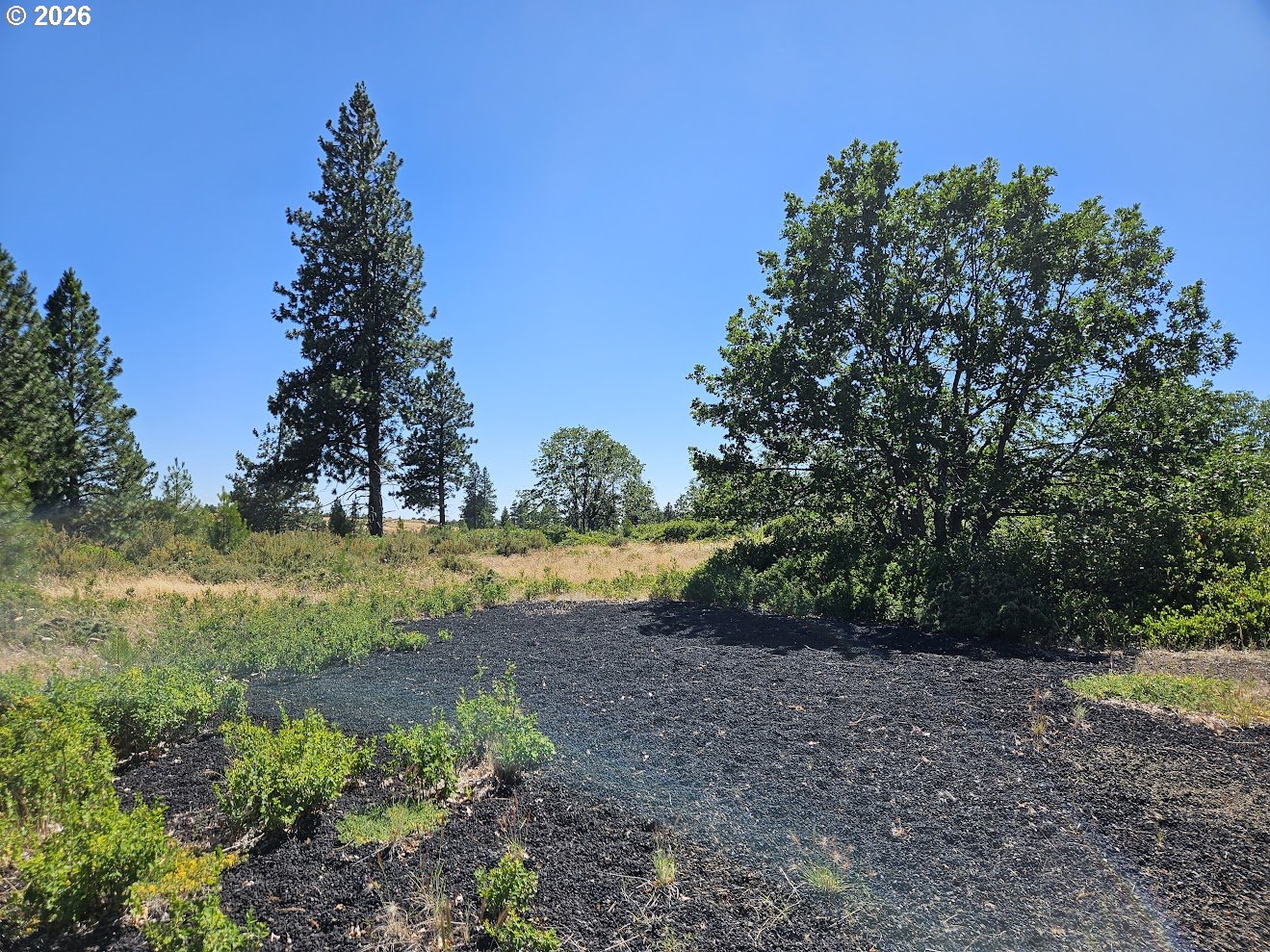 67 Timber Lane Roosevelt, WA 99356 - Photo 10 of 37 a view of an outdoor space and a yard