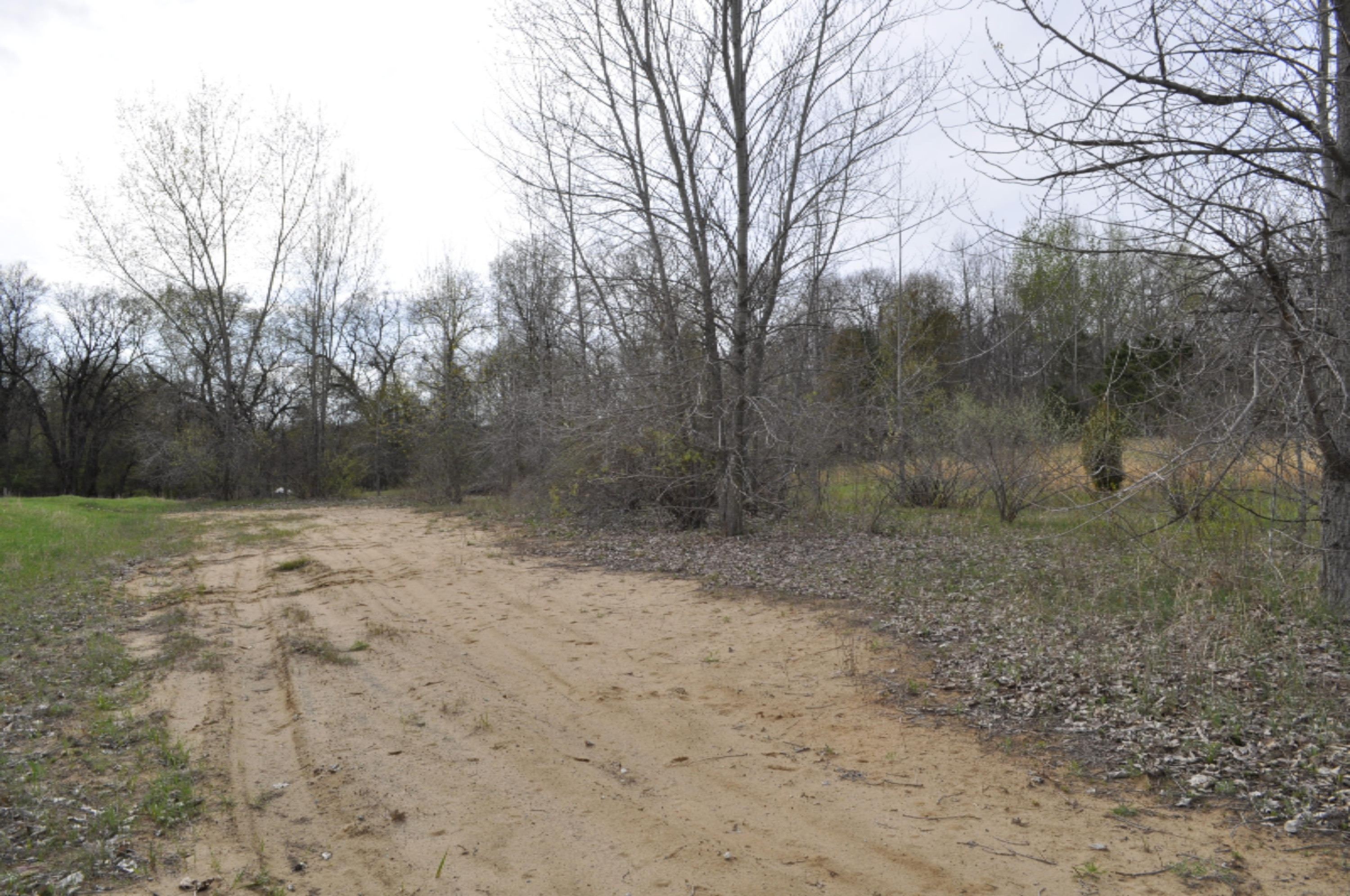 912 North State Road Belding, MI 48809 - Photo 6 of 8 _DSC0004