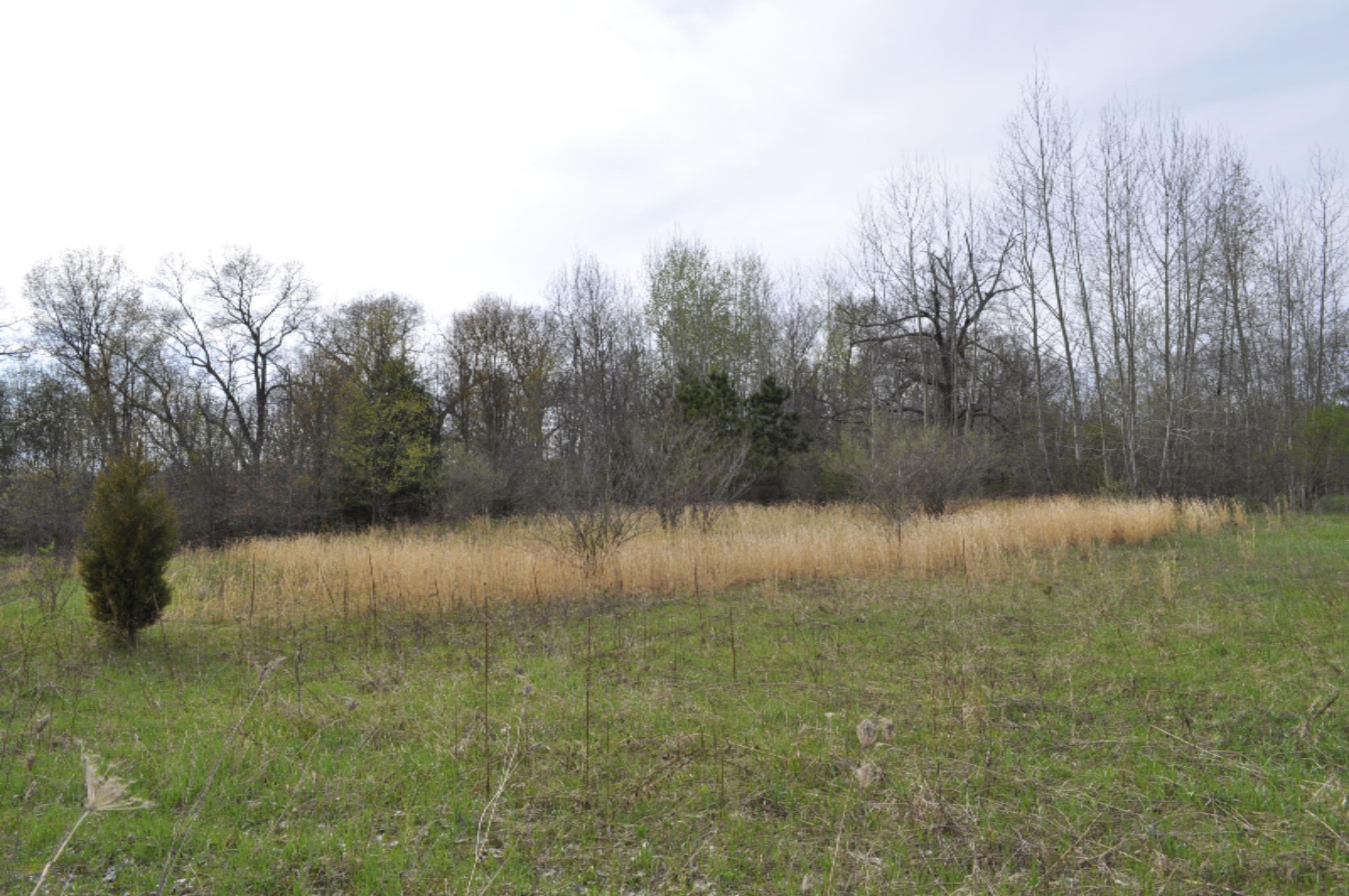 912 North State Road Belding, MI 48809 - Photo 8 of 8 _DSC0006