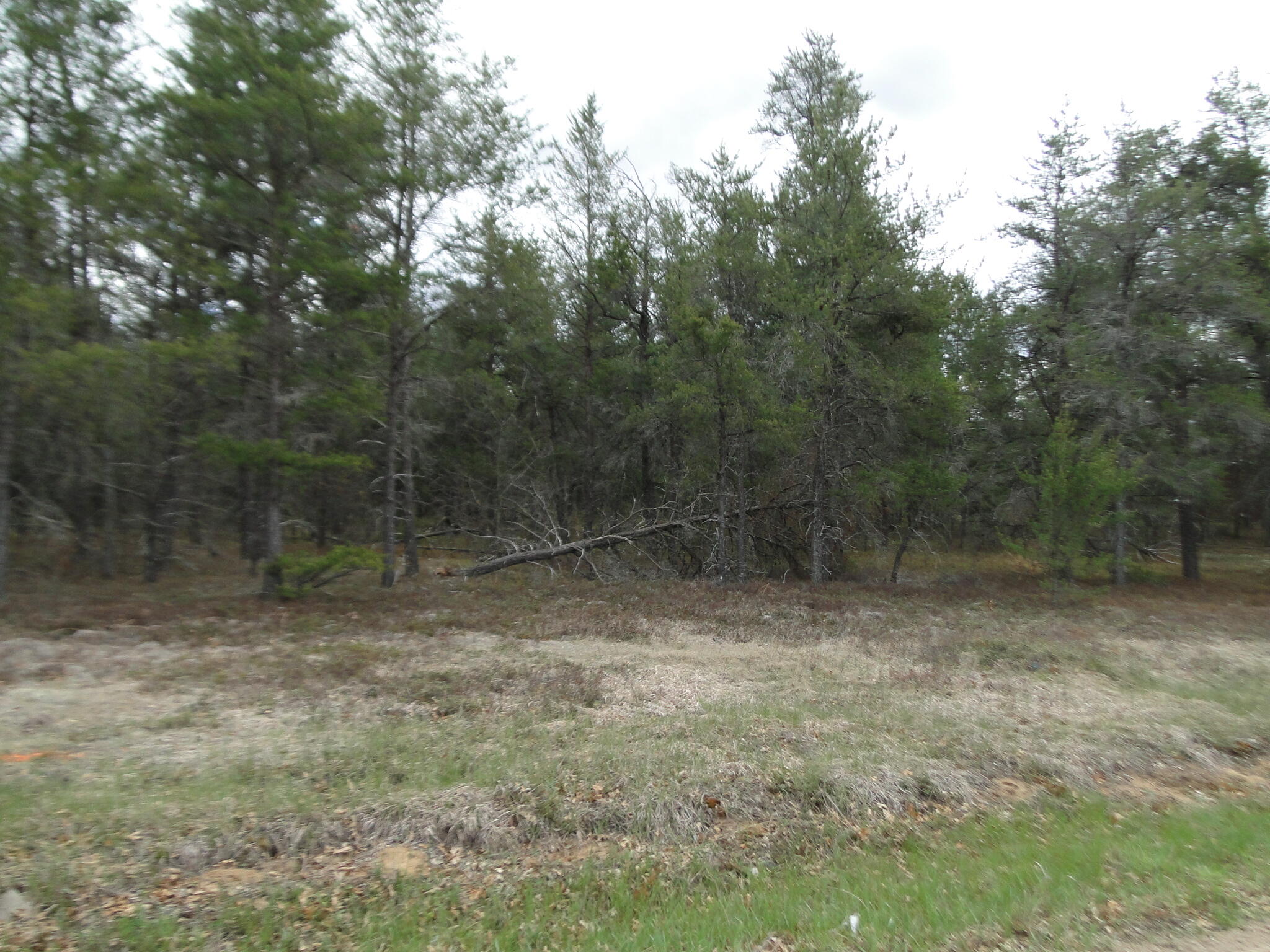 Hoetzle Road Roscommon, MI 48653 - Photo 5 of 7 Gallery Image 5