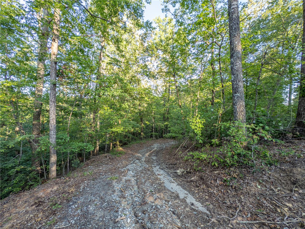 Lot 22 Old Shallowford Bridge Road Sunset, SC 29685 - Photo 5 of 16