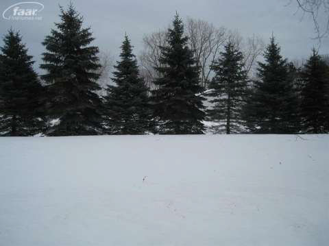 6474 East Potter Road Burton, MI 48509 - Photo 4 of 37 20390671-3.JPG