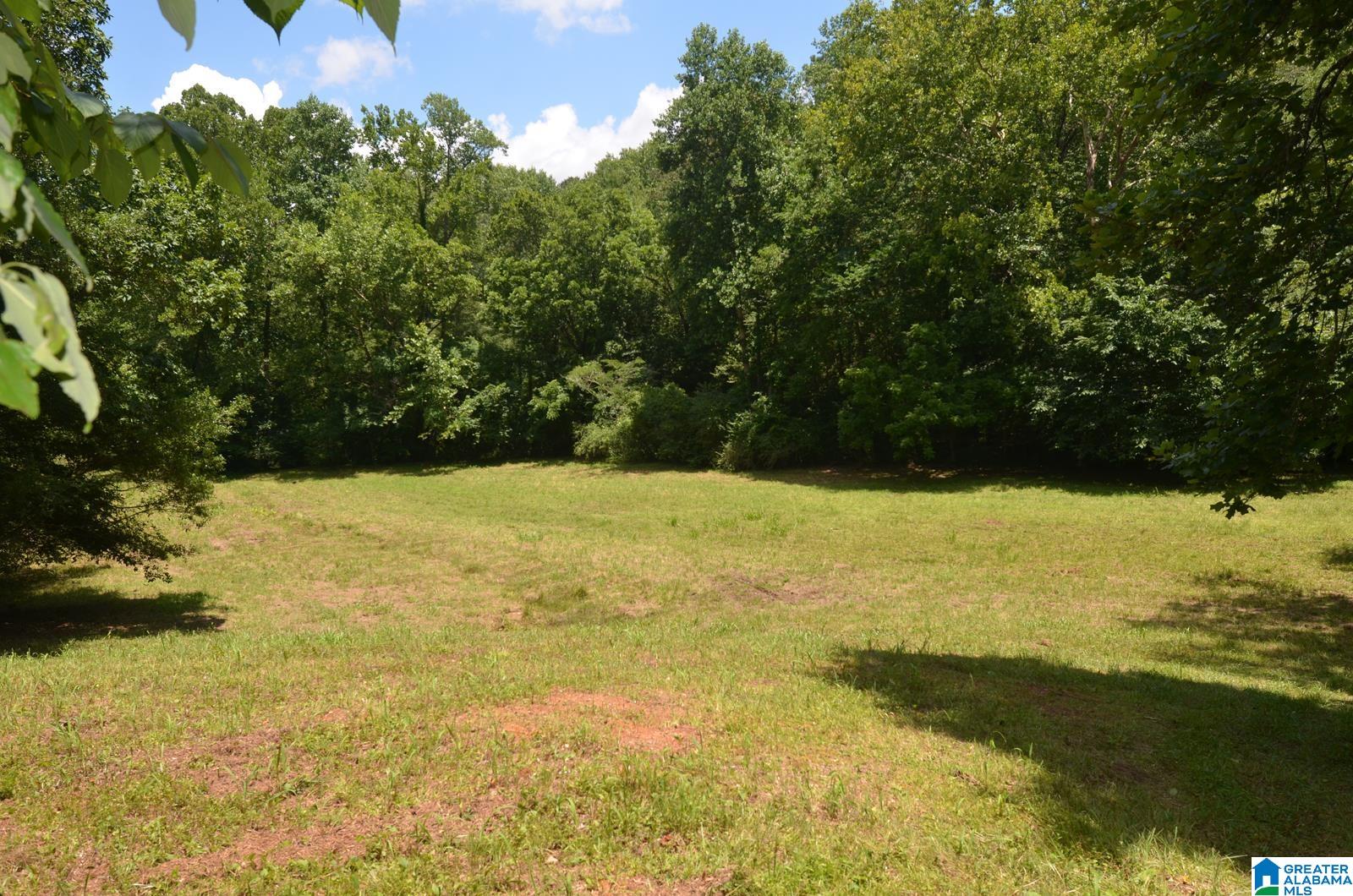 12691 Highway 46 Heflin, AL 36264 - Photo 39 of 63