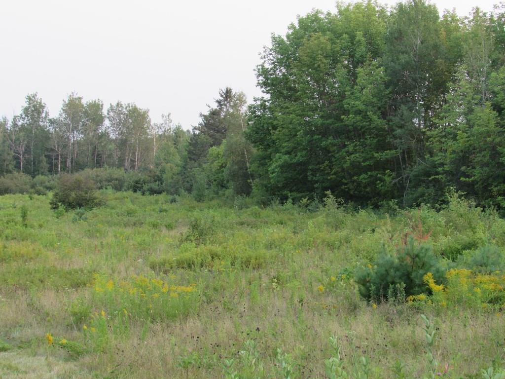 Lot 07 Clark Road Kenduskeag, ME 04450 - Photo 25 of 34 Photo