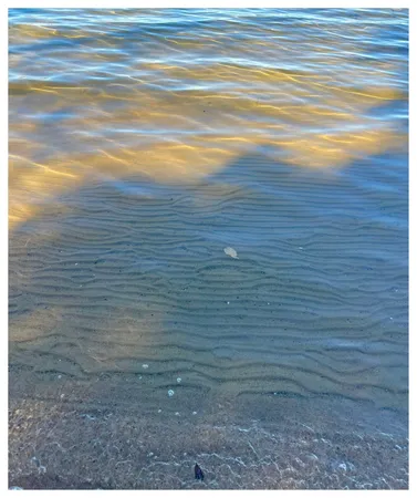 $1,100,000 | 18575 Power Dam Road Northeast, Bemidji, MN 56601