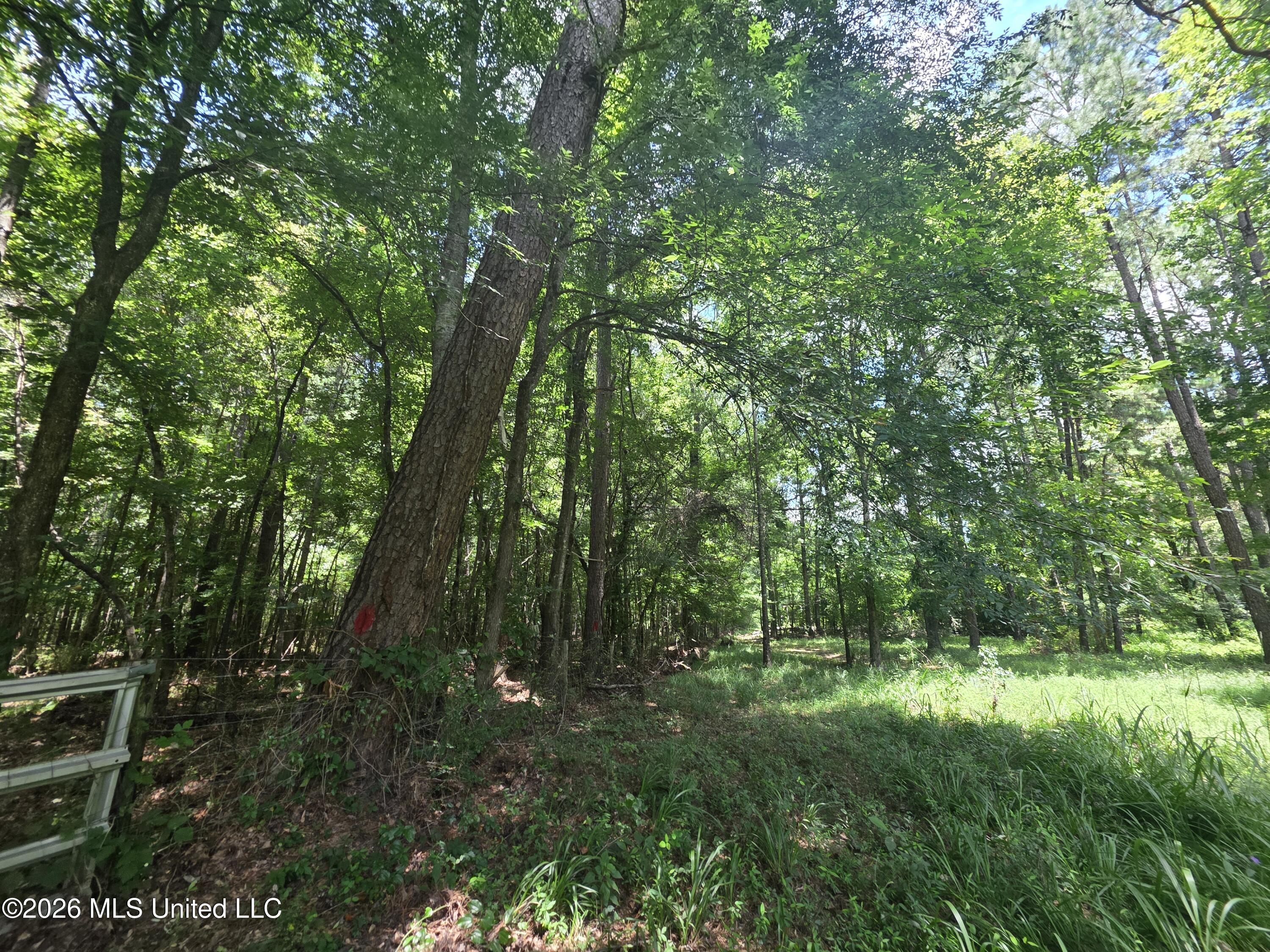 538 East Scrd Morton, MS 39117 - Photo 12 of 30 37163
