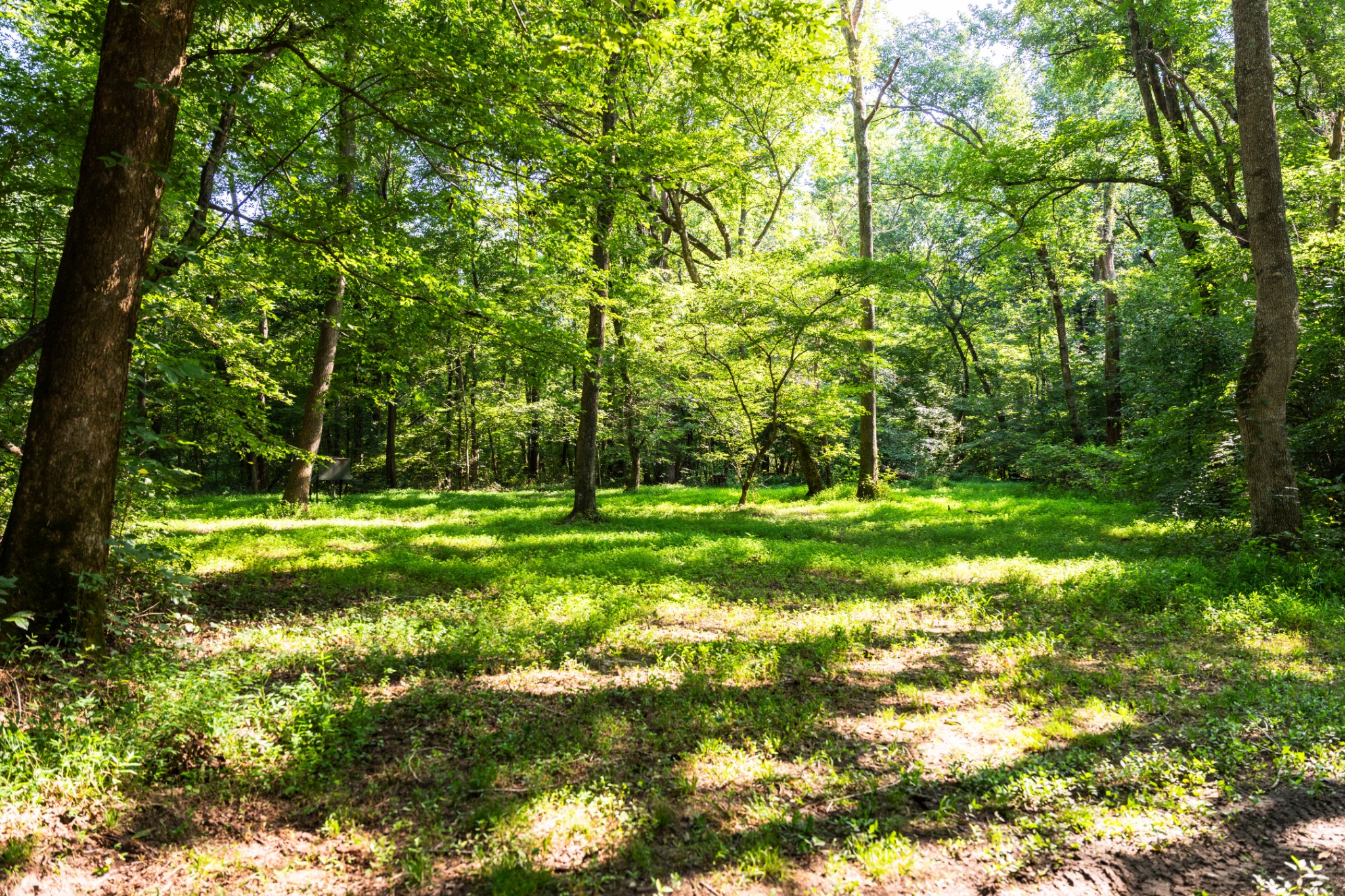 431 Brown Road Paris, TN 38242 - Photo 26 of 36 Gallery Image 26