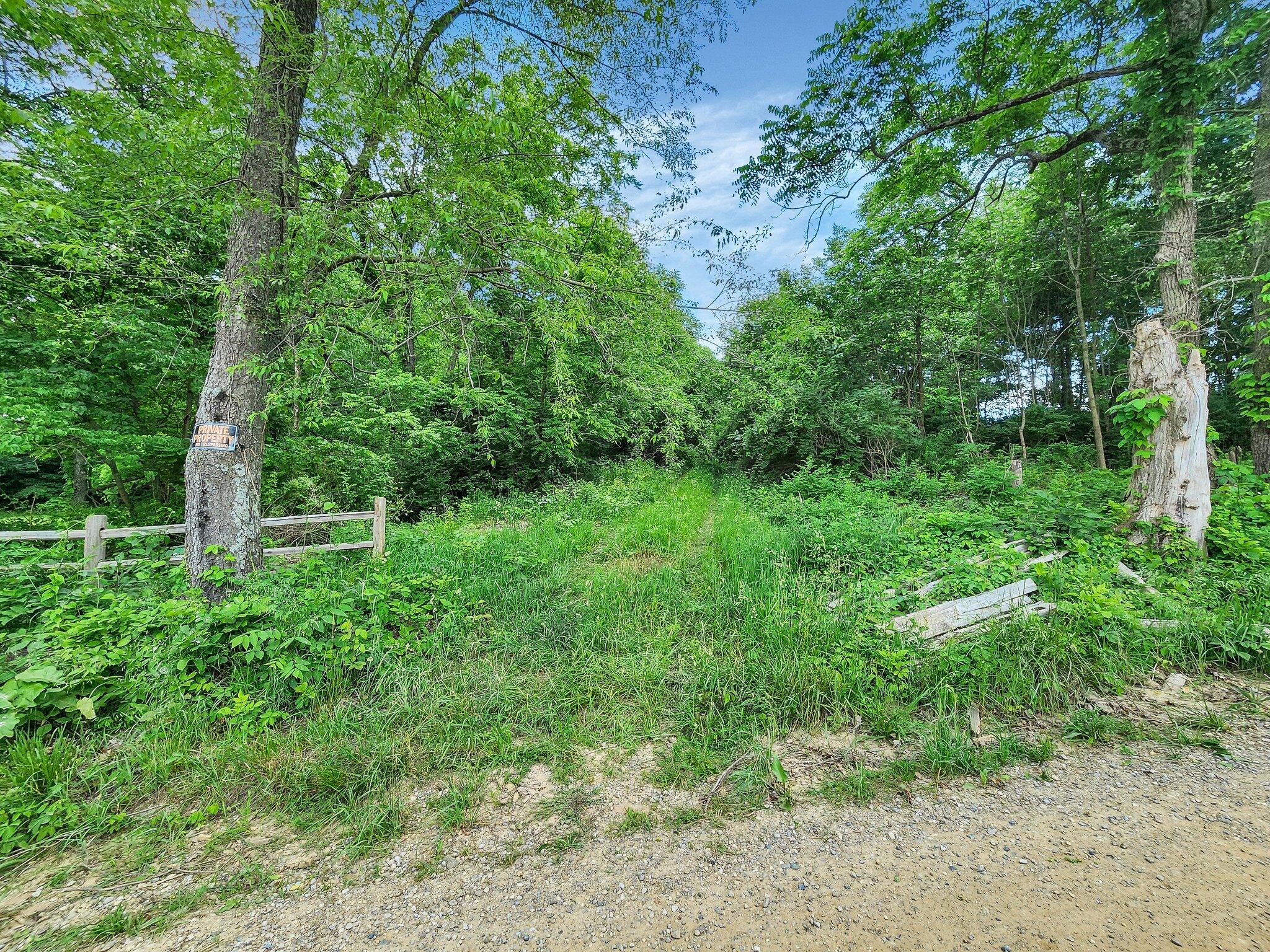0 Woods Church Road Walhonding, OH 43843 - Photo 13 of 19 1-web-or-mls-4020-woods-church-rd