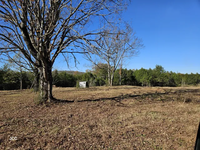a view of an outdoor space with trees